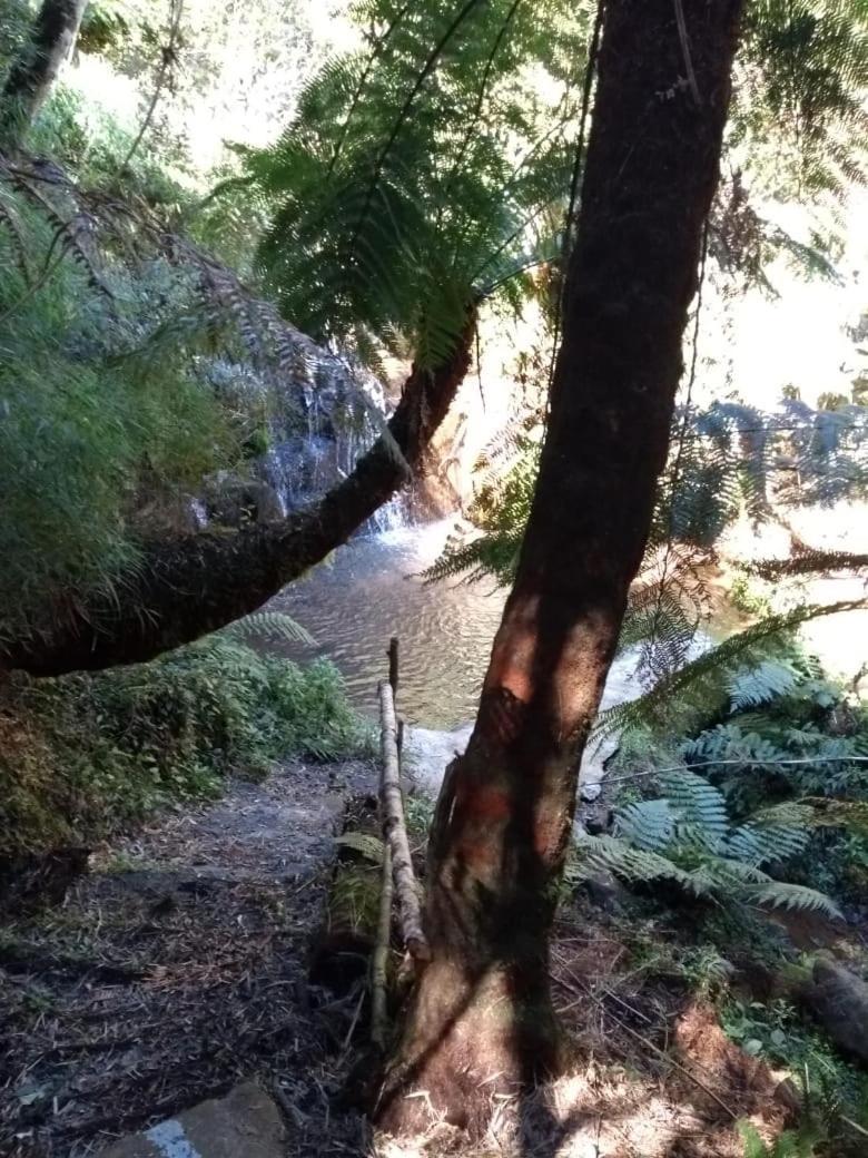 Fazenda Morro Das Torres Urupema Εξωτερικό φωτογραφία